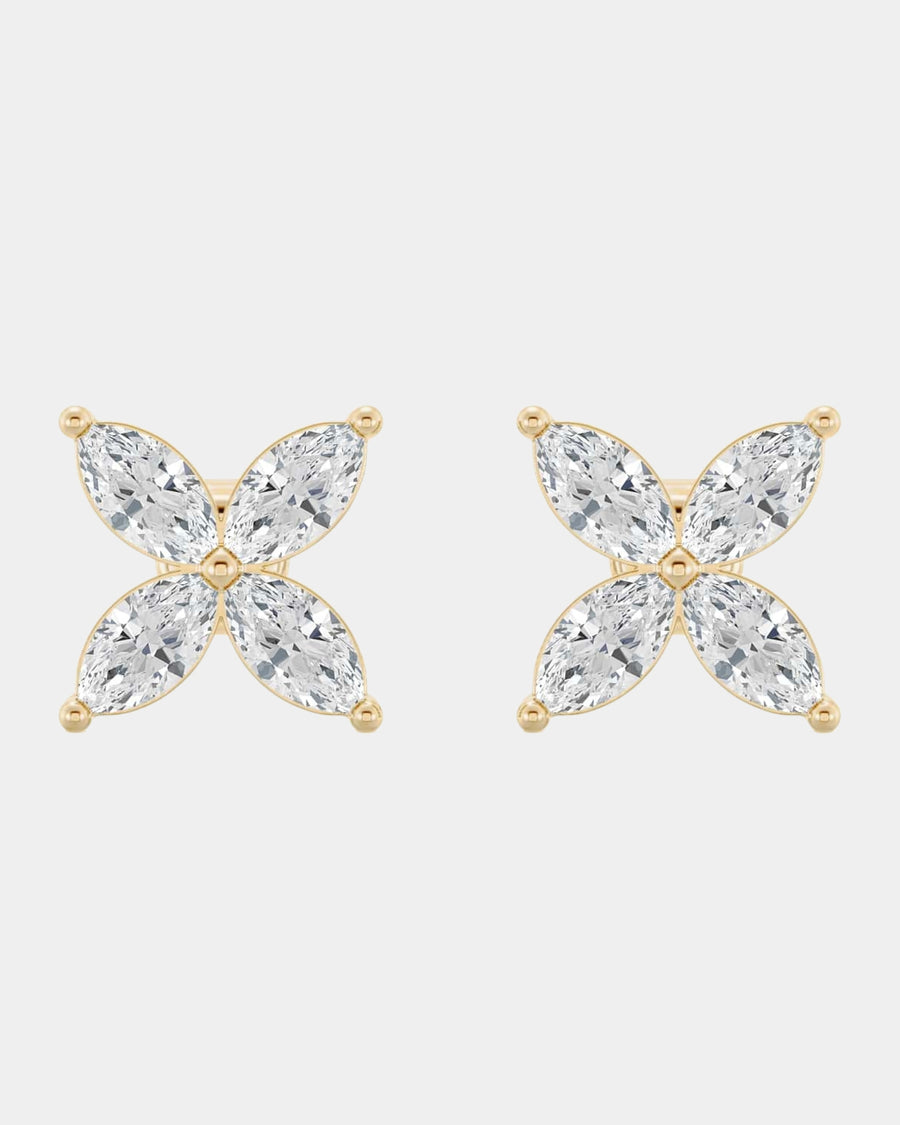 Marquise